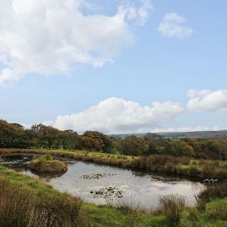 The Cottage Bideford Esterno foto