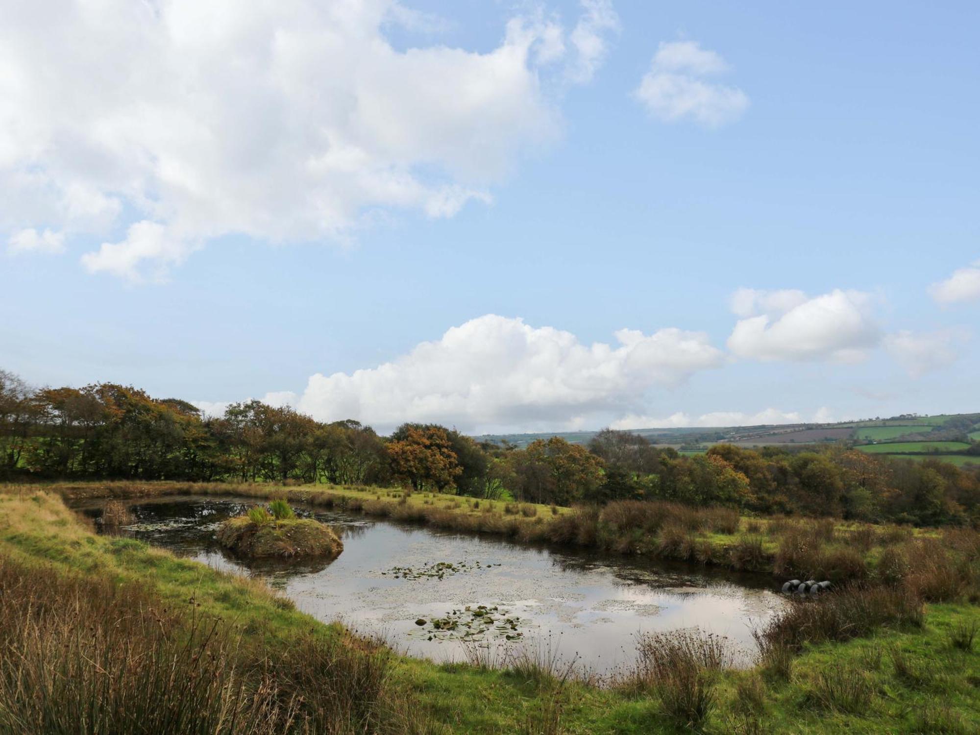 The Cottage Bideford Esterno foto